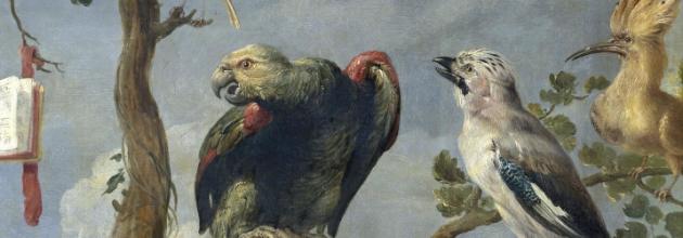 Frans Snyder's concert of birds