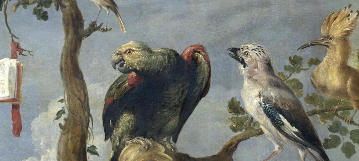 Frans Snyder's concert of birds